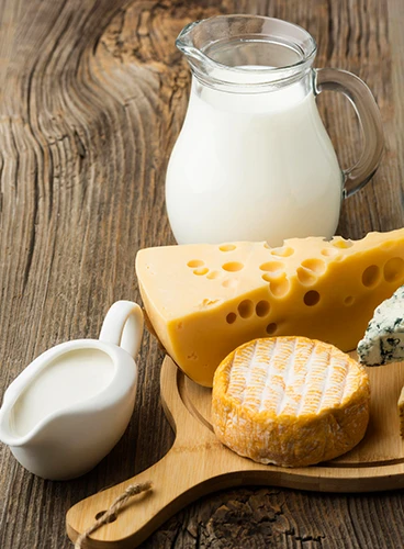 Lácteos